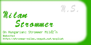 milan strommer business card